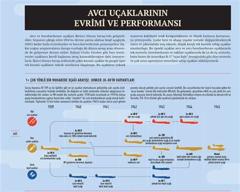  Amphidontidae Yeterince Bilinen Deniz Solucanları mı? Denizdeki Bir Yapboz Parçası Olarak Amphidontidae!